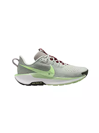 NIKE | Herren Traillaufschuhe Pegasus Trail 5 | beige