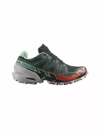 SALOMON | Damen Traillaufschuhe Speedcross 6 GTX | schwarz