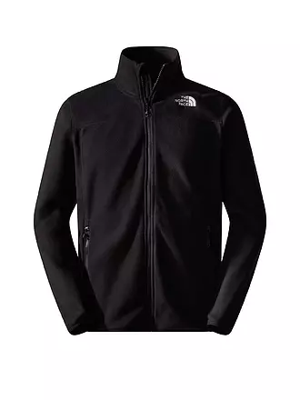 THE NORTH FACE | Herren Fleecejacke 100 Glacier | hellgrau