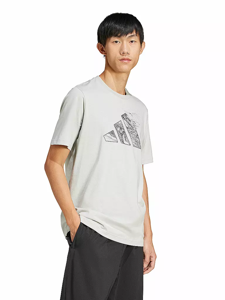 ADIDAS | Herren T-Shirt City Escape Logo Graphic | grau