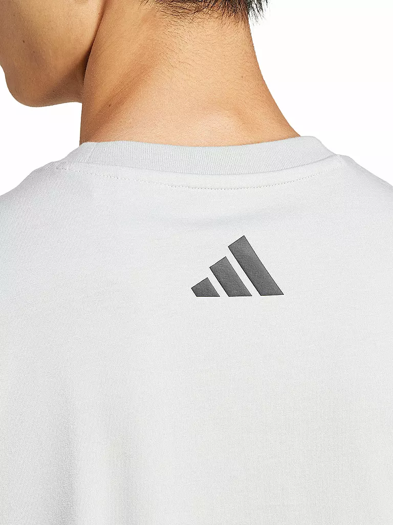 ADIDAS | Herren T-Shirt City Escape Logo Graphic | grau