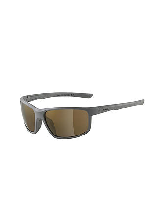 ALPINA | Herren Sportbrille Defey