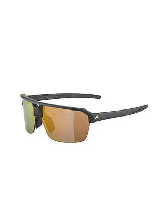 ALPINA | Herren Radbrille Swift HR