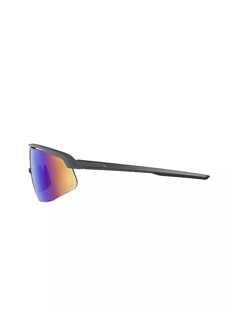 ALPINA | Herren Radbrille Turbo Pro Q-Lite | grau