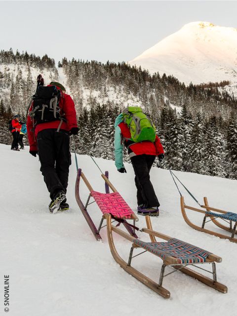Zwei Personen in Winterkleidung ziehen Holzschlitten einen verschneiten Hügel hinauf, mit Bäumen und einem sonnenbeschienenen Berggipfel im Hintergrund. In der Ferne sind weitere Personen zu sehen.