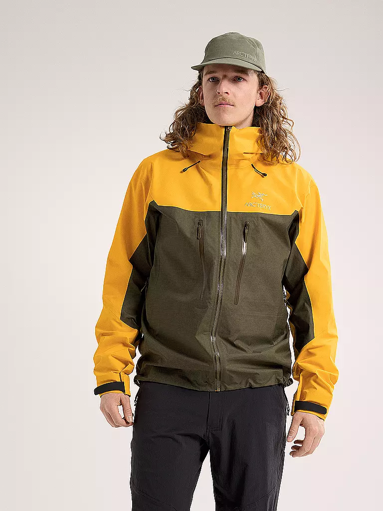 ARCTERYX | Herren Wanderjacke Alpha GTX Hoodie | grün