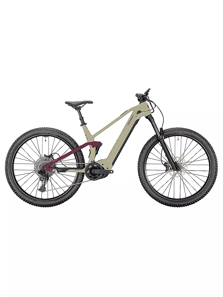 CONWAY | Herren E-Mountainbike Xyron S 5.0 | camel