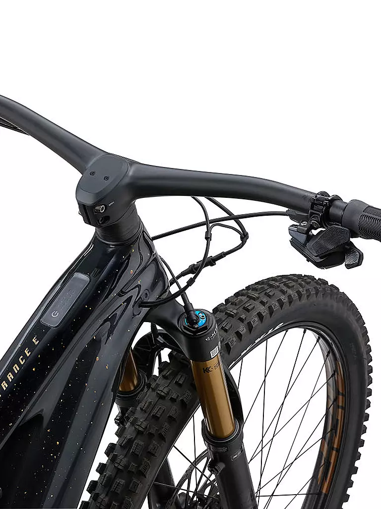 GIANT | Herren E-Mountainbike 29