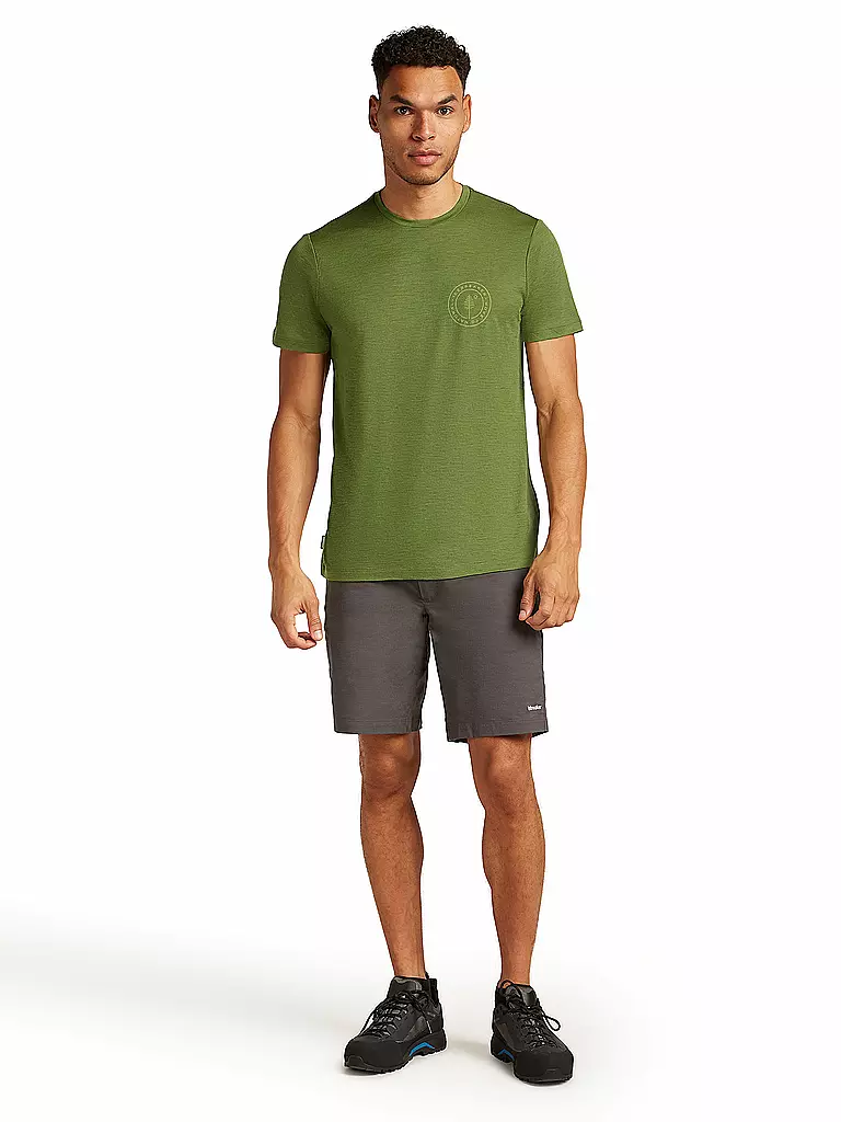 ICEBREAKER | Herren Funktionsshirt Hike 150 Tech | olive