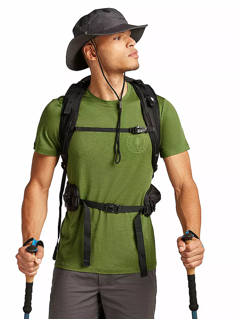 ICEBREAKER | Herren Funktionsshirt Hike 150 Tech | olive