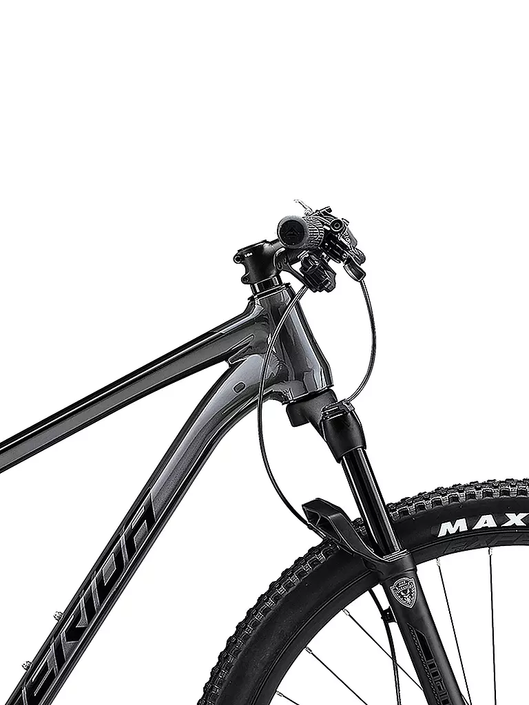 MERIDA | Mountainbike 29" BIG.NINE XT-EDITION | grau