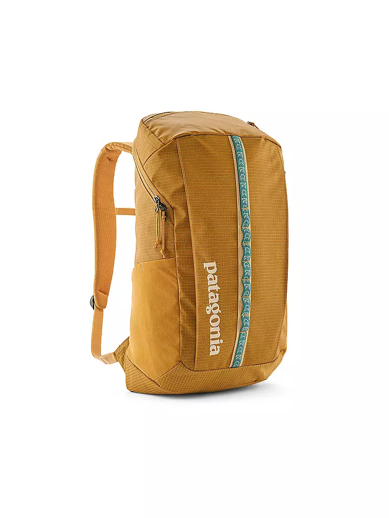 PATAGONIA | Tagesnrucksack Black Hole 25L | gelb