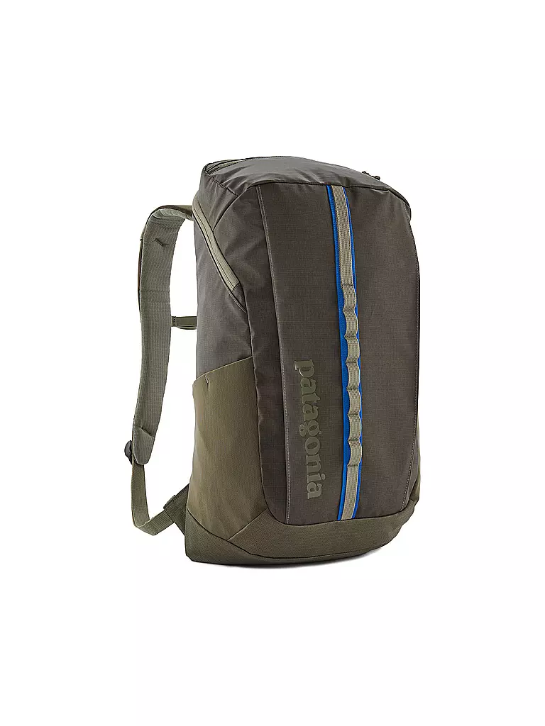 PATAGONIA | Tagesnrucksack Black Hole 25L | grün