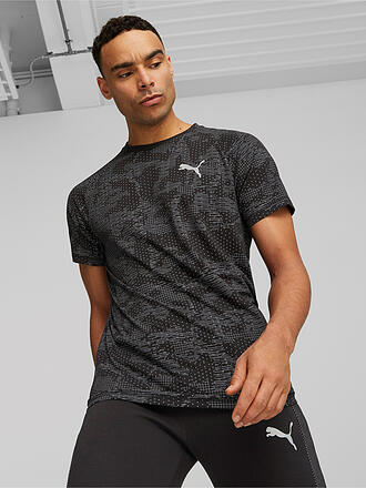 PUMA | Herren T-Shirt Evostripe