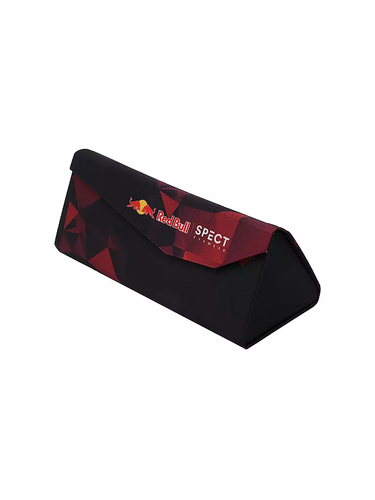 RED BULL SPECT | Brillenetui | schwarz