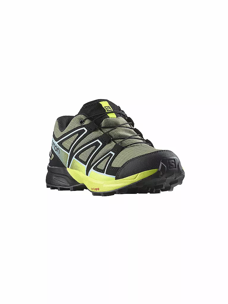 SALOMON | Damen Traillaufschuhe XA PRO 3D V9 GTX | olive